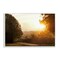 Stupell Industries Golden Morning Between Trees Framed Giclee, design by Gail Peck